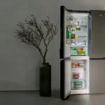 Los Secretos de los Repuestos de Electrodomésticos: Un Mundo Detrás del frigorífico